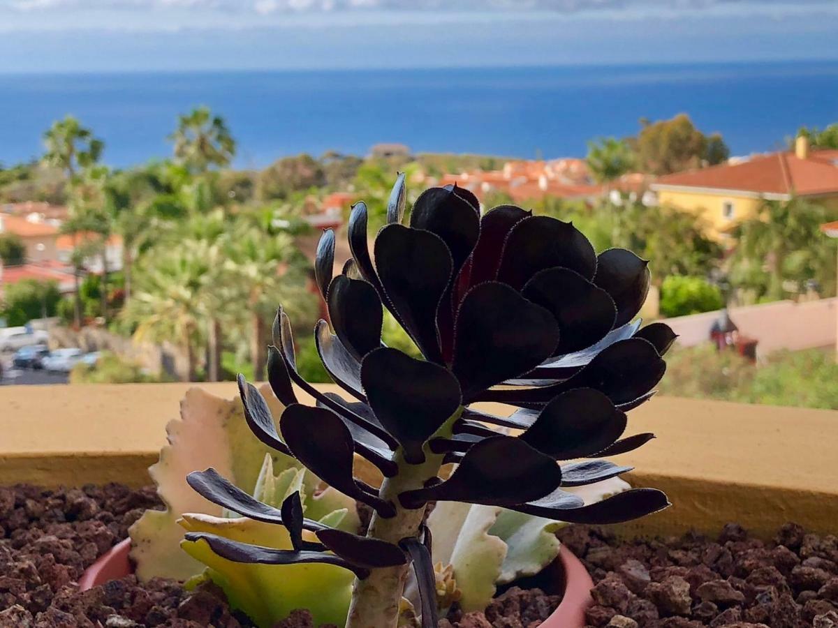 Terraza Vista Oceano La Quinta Apartment Santa Ursula  Luaran gambar